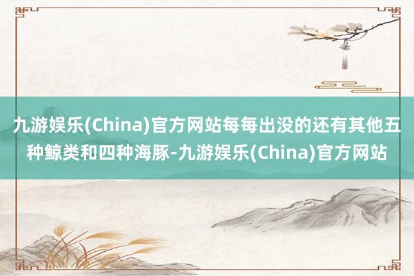 九游娱乐(China)官方网站每每出没的还有其他五种鲸类和四种海豚-九游娱乐(China)官方网站