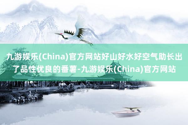 九游娱乐(China)官方网站好山好水好空气助长出了品性优良的番薯-九游娱乐(China)官方网站