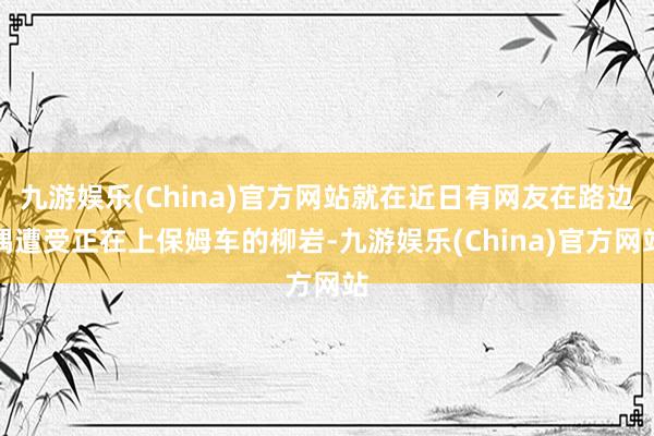 九游娱乐(China)官方网站就在近日有网友在路边偶遭受正在上保姆车的柳岩-九游娱乐(China)官方网站